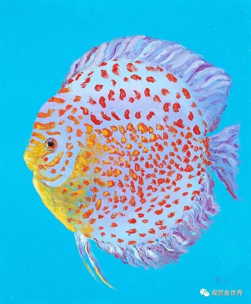 龍魚浮水面呼吸急促（觀賞魚呼吸急促觀賞魚呼吸急促的原因及解決方法及解決方法）