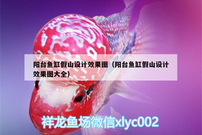 陽臺魚缸假山設計效果圖（陽臺魚缸假山設計效果圖大全）