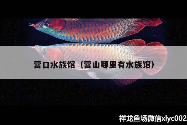 營口水族館（營山哪里有水族館） 營口水族館（營山哪里有水族館） 觀賞魚百科