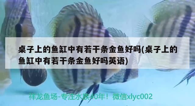 桌子上的魚缸中有若干條金魚好嗎(桌子上的魚缸中有若干條金魚好嗎英語)（關于魚缸擺放的問題） 桌子上的魚缸中有若干條金魚好嗎(桌子上的魚缸中有若干條金魚好嗎英語)（關于魚缸擺放的問題） 觀賞魚百科