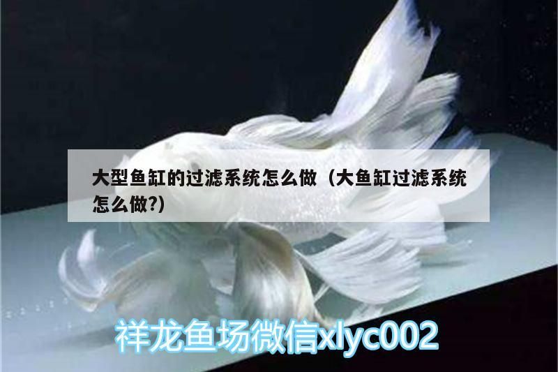 大型魚缸的過濾系統怎么做（大魚缸過濾系統怎么做?）（大型魚缸的過濾系統怎么做）