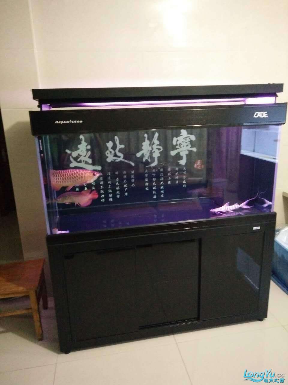 大齡兒童也過兒童節(jié)+水滸卡（大齡兒童也過兒童節(jié)+水滸卡活動）
