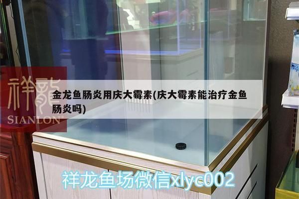 包頭龍魚批發(fā)市場營業(yè)時間（包頭龍魚批發(fā)市場在晚上12點(diǎn)之后還開門嗎？） 包頭龍魚批發(fā)市場營業(yè)時間（包頭龍魚批發(fā)市場在晚上12點(diǎn)之后還開門嗎？） 觀賞魚百科