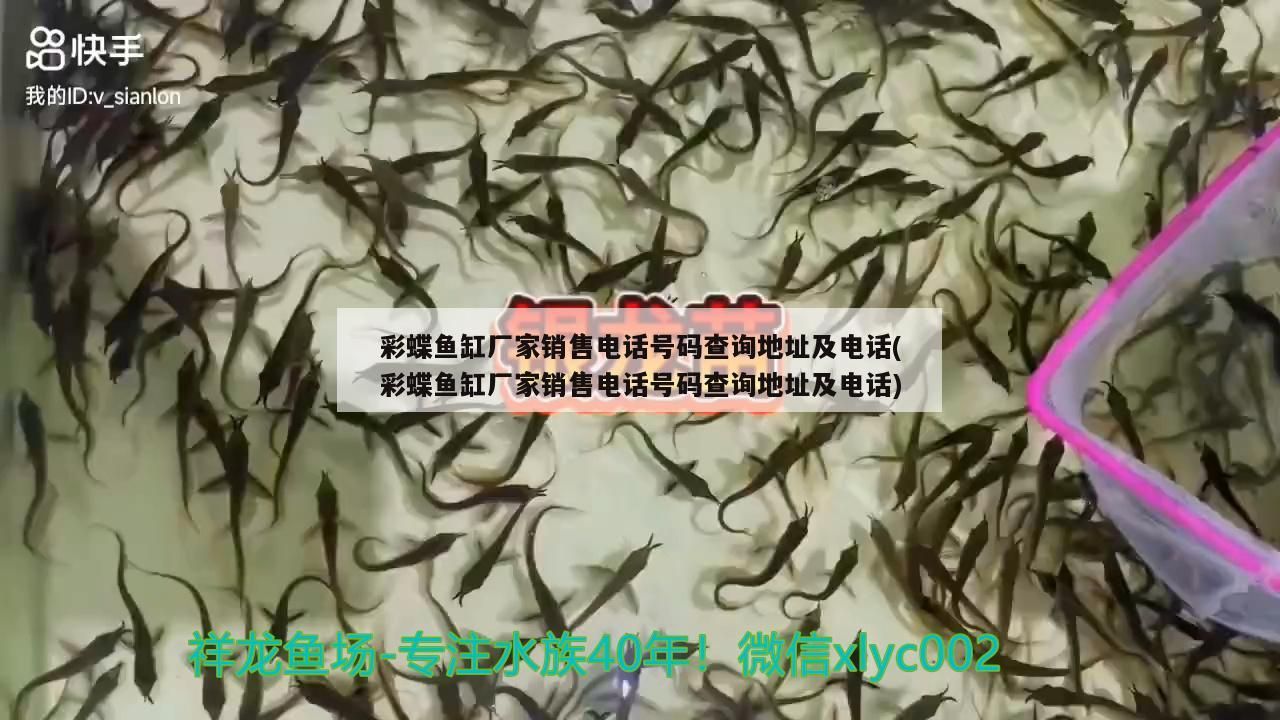 魚缸柜子怎么安裝(魚缸柜子怎么安裝視頻)（彩蝶魚缸廠家銷售電話號碼查詢地址）