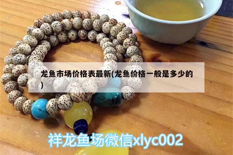 龍魚(yú)市場(chǎng)價(jià)格表最新(龍魚(yú)價(jià)格一般是多少的)（龍魚(yú)價(jià)格一般是多少）