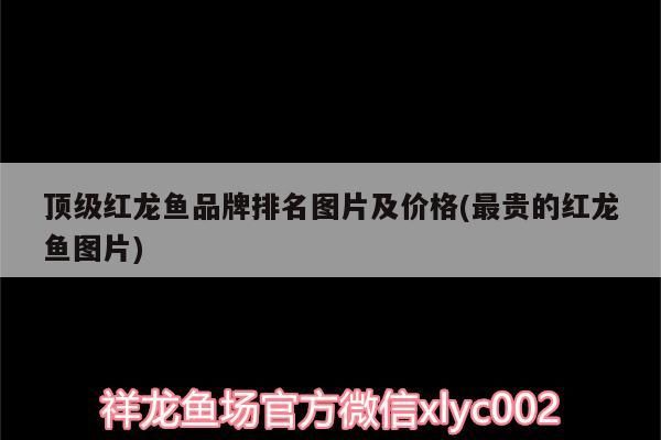 頂級(jí)紅龍魚品牌排名圖片及價(jià)格(最貴的紅龍魚圖片)（養(yǎng)龍魚什么牌子的魚缸好） 頂級(jí)紅龍魚品牌排名圖片及價(jià)格(最貴的紅龍魚圖片)（養(yǎng)龍魚什么牌子的魚缸好） 觀賞魚百科