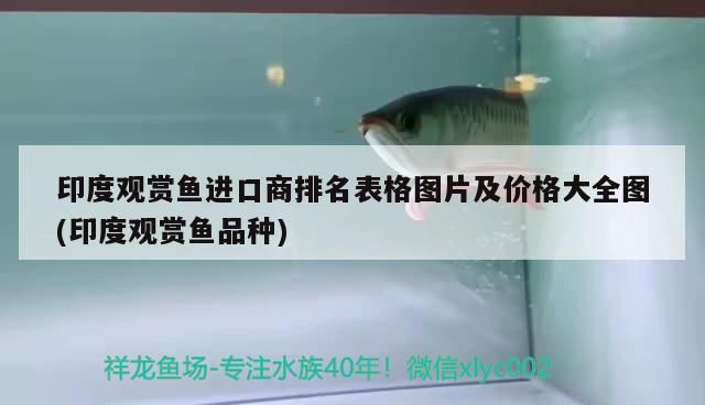 印度觀賞魚進口商排名表格圖片及價格大全圖(印度觀賞魚品種)