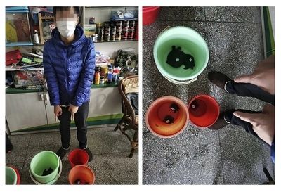 好的紅龍魚多少錢一條:紅龍魚的價格范圍、選購技巧以及飼養(yǎng)要點 觀賞魚百科 第4張 好的紅龍魚多少錢一條:紅龍魚的價格范圍、選購技巧以及飼養(yǎng)要點 好的紅龍魚多少錢一條:紅龍魚的價格范圍、選購技巧以及飼養(yǎng)要點 觀賞魚百科 第4張