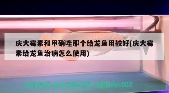 魚藥 慶大霉素和甲硝唑那個給龍魚用較好(慶大霉素給龍魚治病怎么使用)(慶大霉素和甲硝唑和甲硝唑那個給龍魚用較好的知識) 觀賞魚百科 慶大霉素和甲硝唑那個給龍魚用較好(慶大霉素給龍魚治病怎么使用)(慶大霉素和甲硝唑和甲硝唑那個給龍魚用較好的知識) 慶大霉素和甲硝唑那個給龍魚用較好(慶大霉素給龍魚治病怎么使用)(慶大霉素和甲硝唑和甲硝唑那個給龍魚用較好的知識) 觀賞魚百科