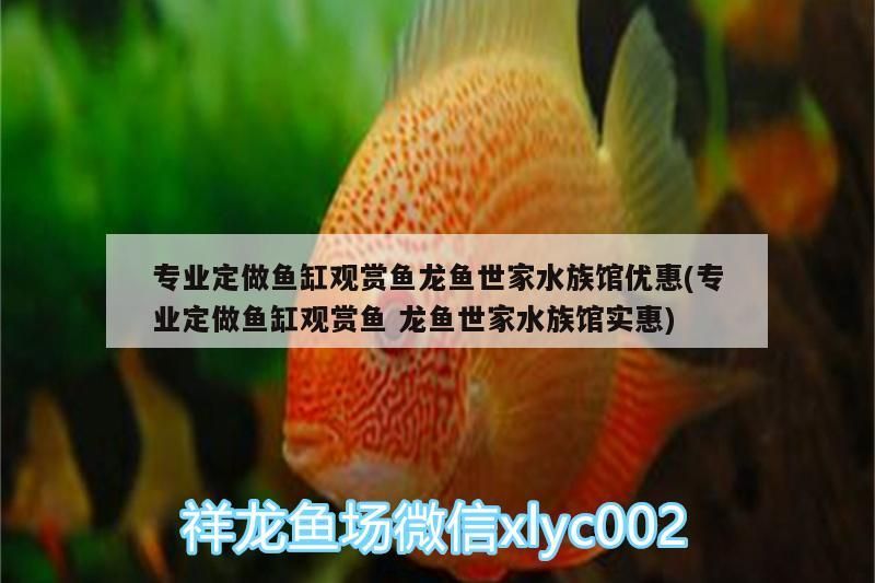 專業定做魚缸觀賞魚龍魚世家水族館優惠(專業定做魚缸觀賞魚龍魚世家水族館實惠)