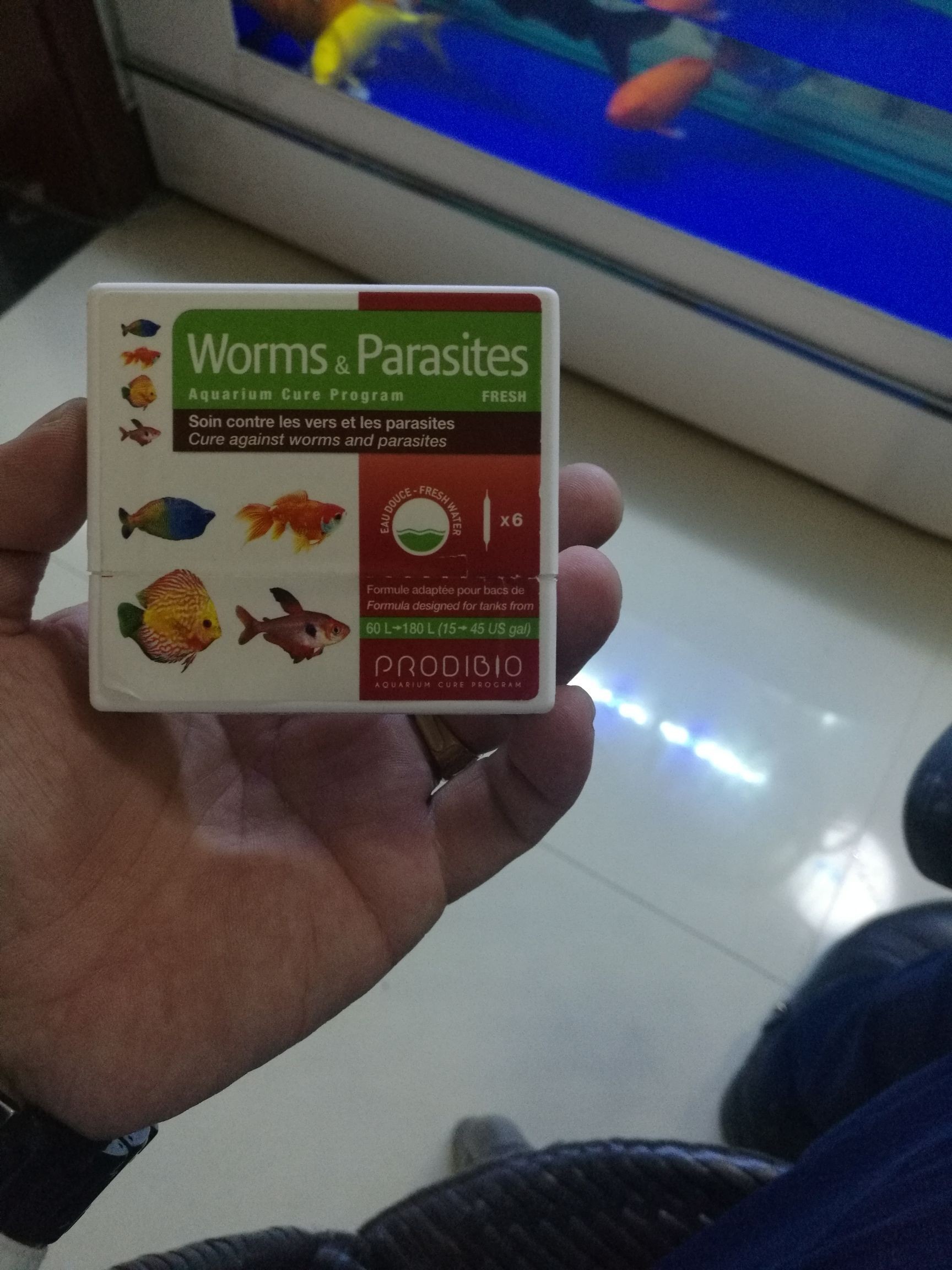 科迪治療中 科迪治療中 觀賞魚百科 第3張