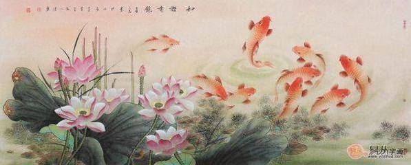 白色錦鯉魚什么寓意：白色錦鯉在中國傳統文化中具有特殊的意義不僅是美麗的觀賞魚