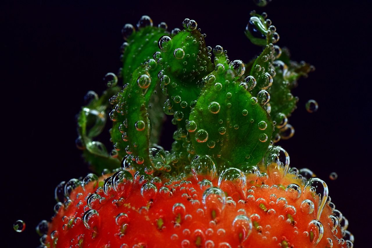 魚缸養水草的正確方法（哪一種水草最增氧）