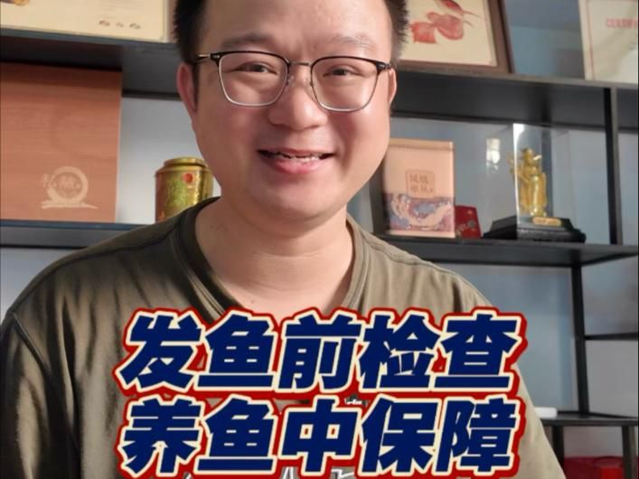 龍魚送人時如何包裝（如何包裝龍魚）