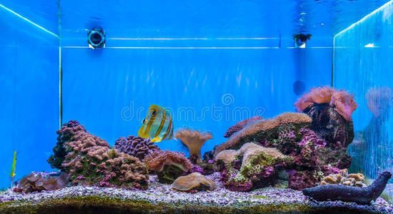 貴陽水族批發(fā)市場在哪里有賣（貴陽水族批發(fā)市場在哪里有賣海鮮的）