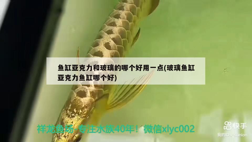 魚(yú)缸亞克力和玻璃的哪個(gè)好用一點(diǎn)(玻璃魚(yú)缸亞克力魚(yú)缸哪個(gè)好)
