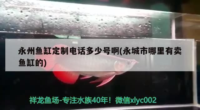 <strong><mark>永州</mark></strong>魚缸定制電話多少號啊(永城市哪里有賣魚缸的)（<strong><mark>永州</mark></strong>魚缸定制電話多少號）
