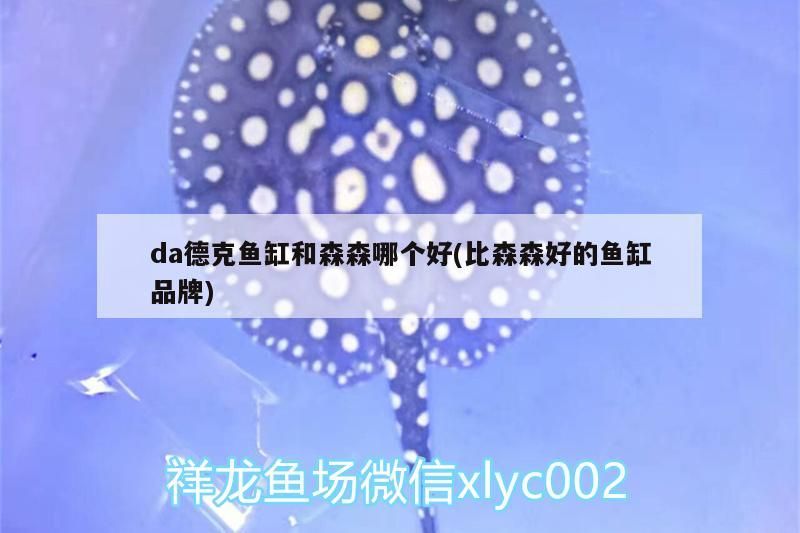 da德克魚缸和森森哪個(gè)好(比森森好的魚缸品牌)（da德克魚缸和森森哪個(gè)好） da德克魚缸和森森哪個(gè)好(比森森好的魚缸品牌)（da德克魚缸和森森哪個(gè)好） 觀賞魚百科