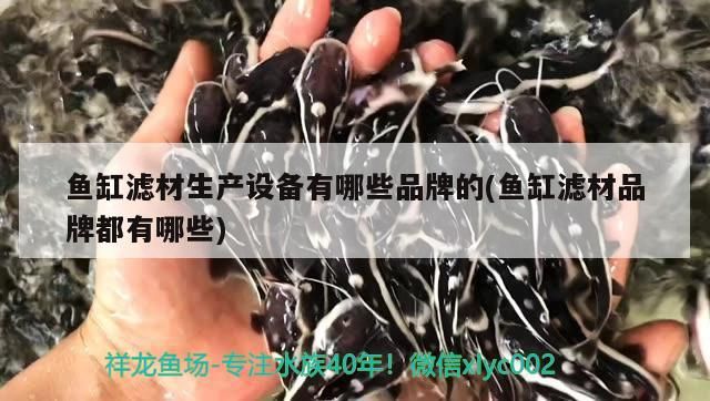 魚缸濾材生產設備有哪些品牌的(魚缸濾材品牌都有哪些)
