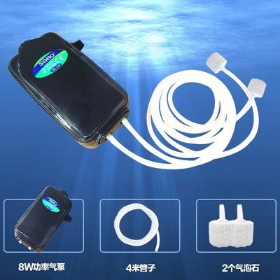 如何麻醉龍魚（如何麻醉龍魚視頻）（如何正確地麻醉龍魚并觀看如何麻醉龍魚視頻）