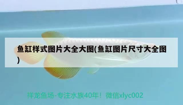 一方龍魚飼料多少斤合適：龍魚一頓喂多少（養(yǎng)紅龍魚的注意事項(xiàng)）
