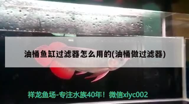 油桶魚缸過濾器怎么用的(油桶做過濾器)（油桶魚缸過濾器怎么使用）