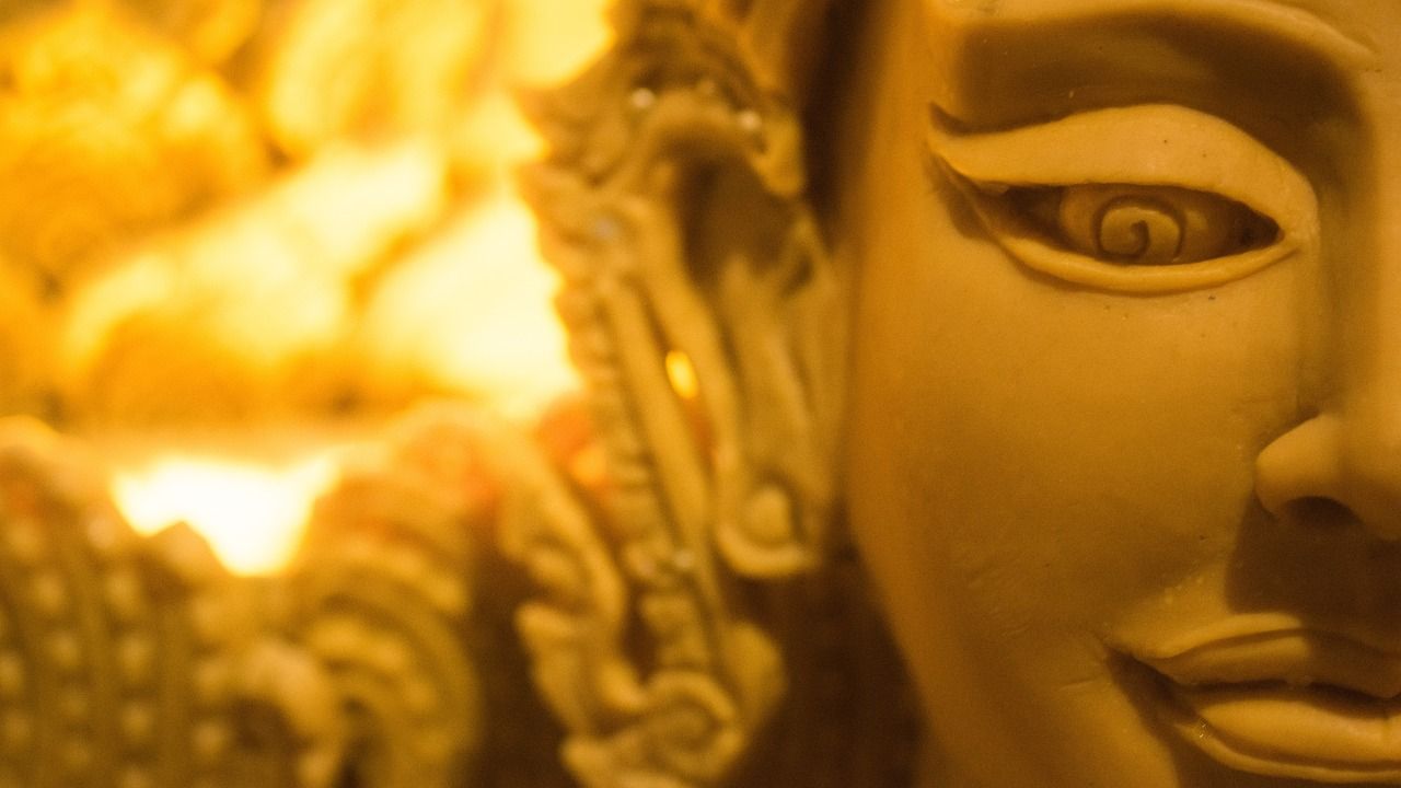 看我這龍顏色 好看吧？（=最新回復東北神龍:正常體色沒什么的）