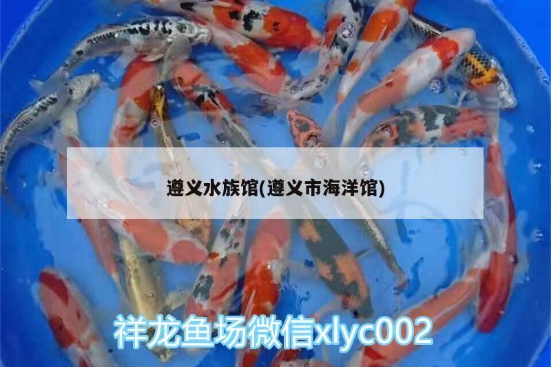 遵義水族館(遵義市海洋館)（貴州遵義有哪些好玩的地方？）