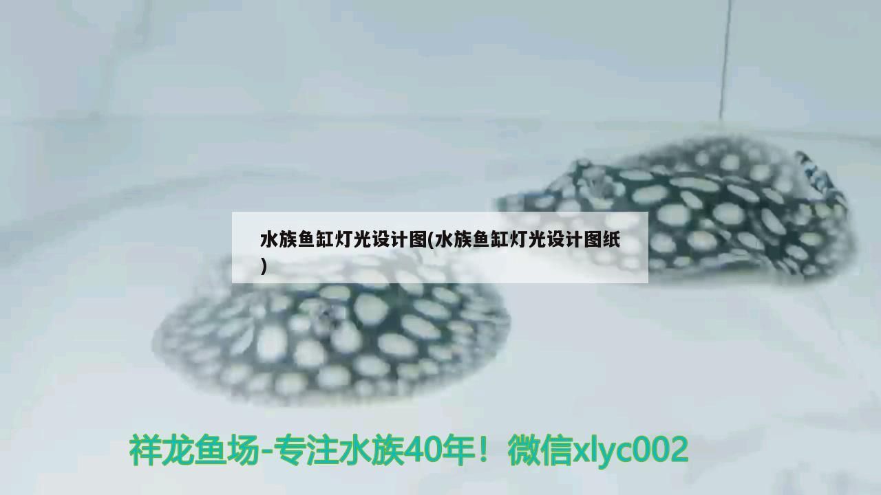 水族魚缸燈光設計圖(水族魚缸燈光設計圖紙)（水族魚缸燈光的設計）