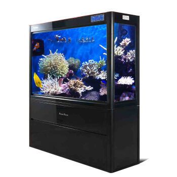佳木斯龍魚專賣店地址在哪里（佳木斯龍魚專賣店地址在哪里啊）（佳木斯龍魚專賣店） 佳木斯龍魚專賣店地址在哪里（佳木斯龍魚專賣店地址在哪里啊）（佳木斯龍魚專賣店） 觀賞魚百科