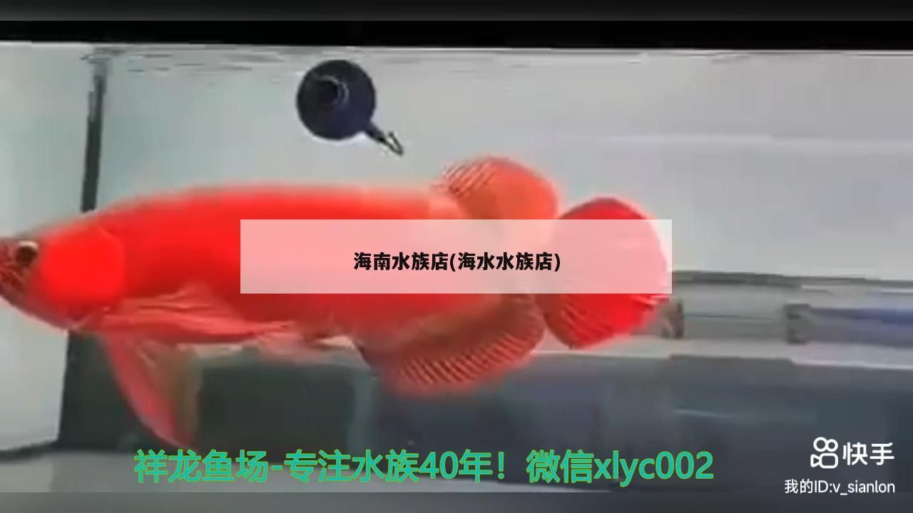 海南水族店(海水水族店)（海南水族店的介紹）