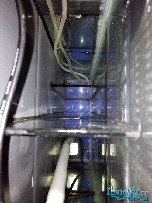 我以前聽過每個人的建議謝謝（個人成長的必要性）