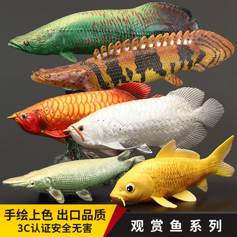 藍色龍魚圖片高清大圖（藍色的龍魚）（藍色龍魚與金魚混養） 藍色龍魚圖片高清大圖（藍色的龍魚）（藍色龍魚與金魚混養） 觀賞魚百科