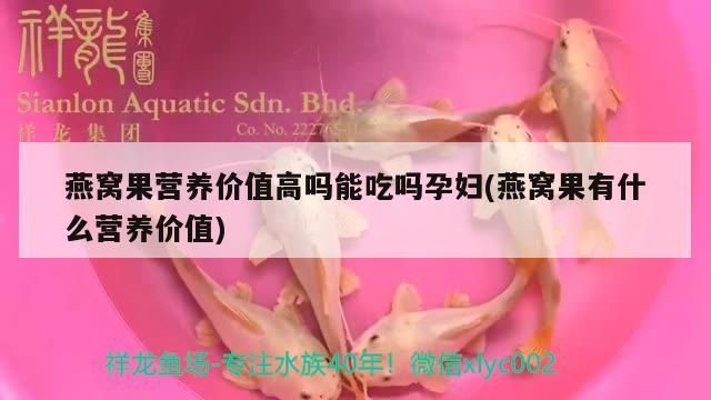 恐龍魚可以吃火腿腸嗎（恐龍魚可以吃火腿腸嗎視頻）（六角恐龍魚可以吃火腿腸嗎）