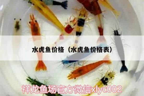 紅色的銀龍魚叫什么名字好聽：關于銀龍魚的幾個問題 紅色的銀龍魚叫什么名字好聽：關于銀龍魚的幾個問題 觀賞魚百科 第2張