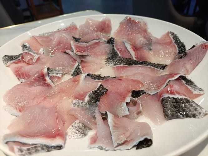 崇仁哪個水族館龍魚好？祥龍魚場龍魚 崇仁哪個水族館龍魚好？祥龍魚場龍魚 龍魚百科 第4張