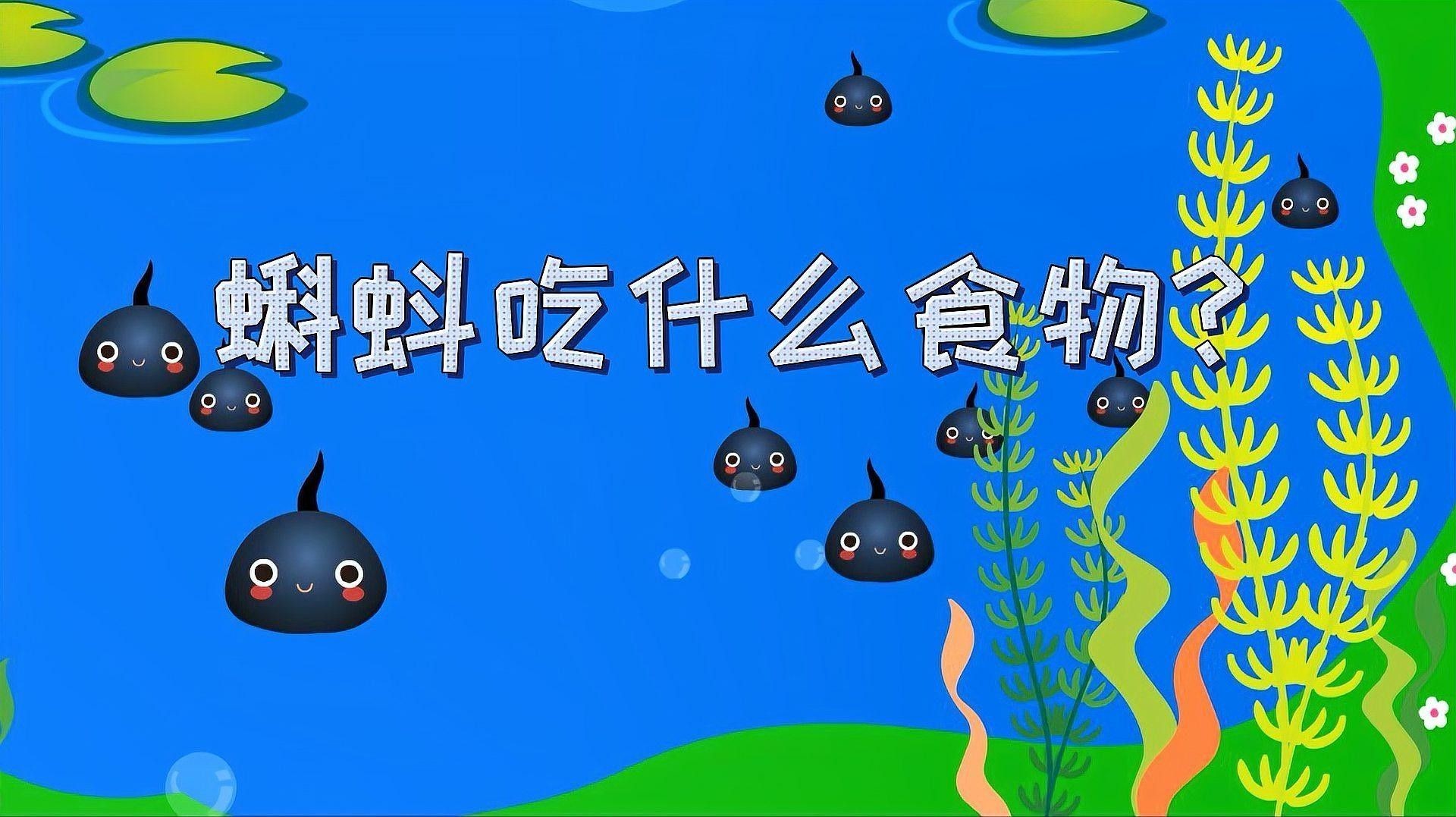 金龍魚吃小蝌蚪需要煮熟嗎？（開封市社科聯“揭秘金龍魚快速成長秘訣:科學喂食與慢養原則）