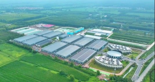 濟寧龍魚魚場口碑如何 濟寧龍魚魚場口碑如何 龍魚百科 第2張