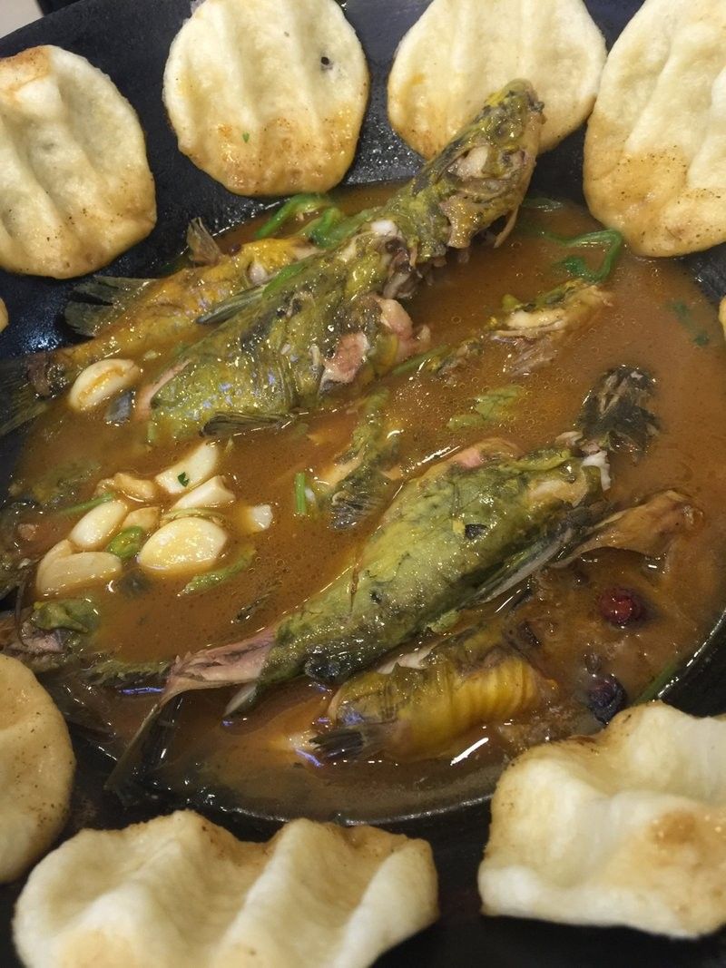 濟寧龍魚魚場口碑如何 濟寧龍魚魚場口碑如何 龍魚百科 第3張