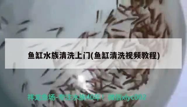 魚缸用增氧泵價格是多少:魚缸增氧機-xtrac增氧機-xtrac增氧機 魚缸水族清洗上門(魚缸清洗視頻教程) 觀賞魚百科 魚缸水族清洗上門(魚缸清洗視頻教程) 魚缸水族清洗上門(魚缸清洗視頻教程) 觀賞魚百科