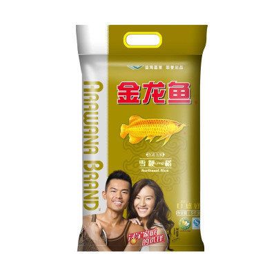 新手養(yǎng)金龍魚需要注意什么細(xì)節(jié)（養(yǎng)殖金龍魚的注意事項） 新手養(yǎng)金龍魚需要注意什么細(xì)節(jié)（養(yǎng)殖金龍魚的注意事項） 觀賞魚百科