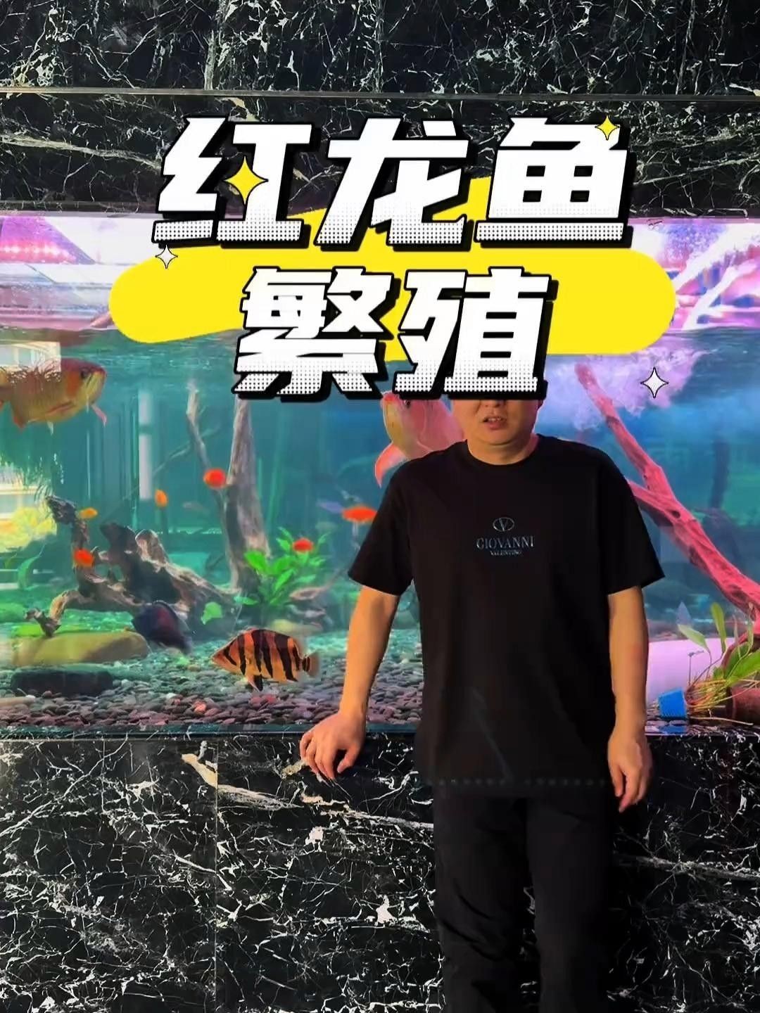 昭化紅龍魚