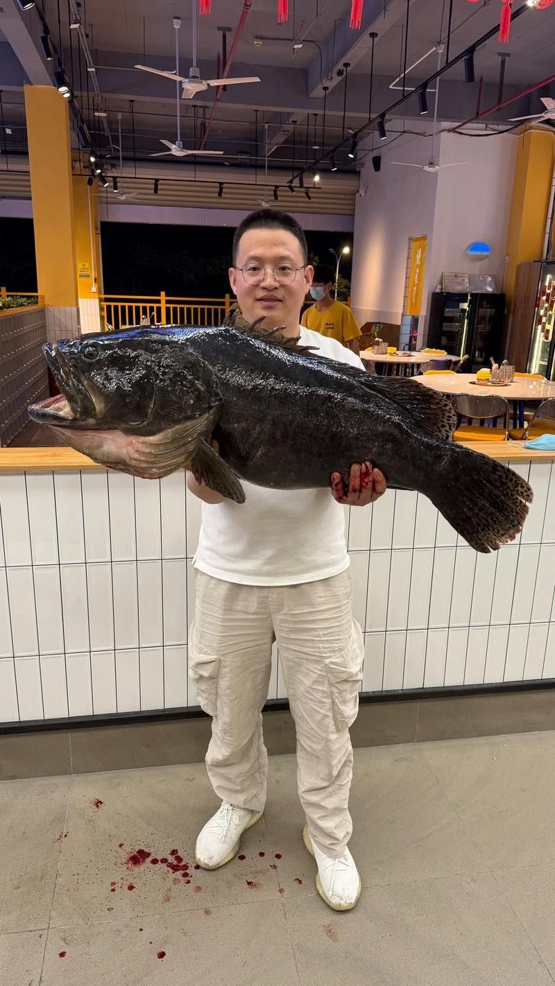 北海龍魚的價格是多少（北海龍魚市場價格波動大嗎北海龍魚價格波動大嗎） 北海龍魚的價格是多少（北海龍魚市場價格波動大嗎北海龍魚價格波動大嗎） 龍魚百科 第5張