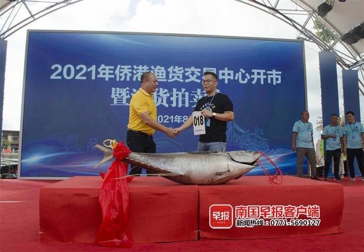 北海龍魚的價格是多少（北海龍魚市場價格波動大嗎北海龍魚價格波動大嗎） 北海龍魚的價格是多少（北海龍魚市場價格波動大嗎北海龍魚價格波動大嗎） 龍魚百科 第10張