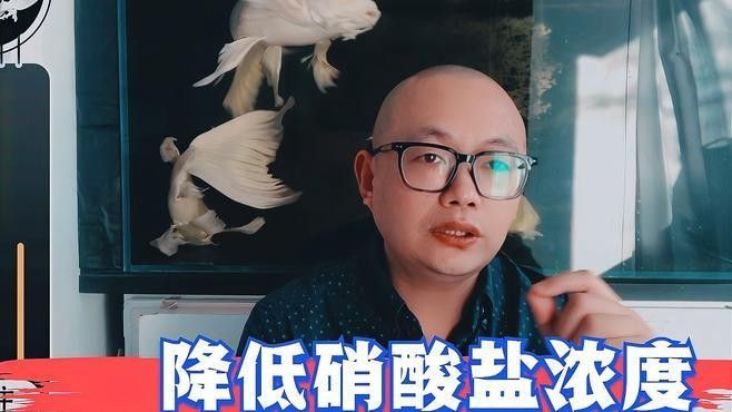 如何優化龍魚的水質？（如何優化龍魚水質）