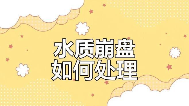 如何優化龍魚的水質？（如何優化龍魚水質）