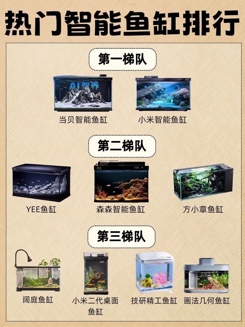 推薦一些適合60×30魚缸的中型魚（60×30厘米的魚缸適合養(yǎng)什么魚）