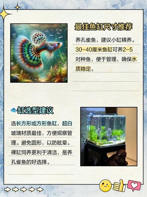 推薦一些適合60×30魚缸的中型魚（60×30厘米的魚缸適合養(yǎng)什么魚）
