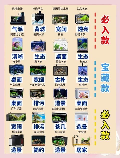 推薦一些適合60×30魚缸的中型魚（60×30厘米的魚缸適合養(yǎng)什么魚）