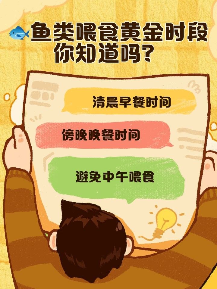 曼龍魚吃水果的最佳時間（曼龍魚吃水果需要注意什么，）